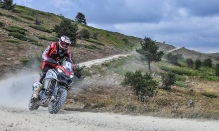 Multistrada Enduro Conquers 1st In Transanatolia Rally