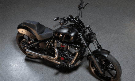 Indian Motorcycle Chief Custom By Carey Hart