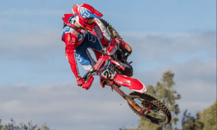 PERFECT SCORES FOR GAJSER