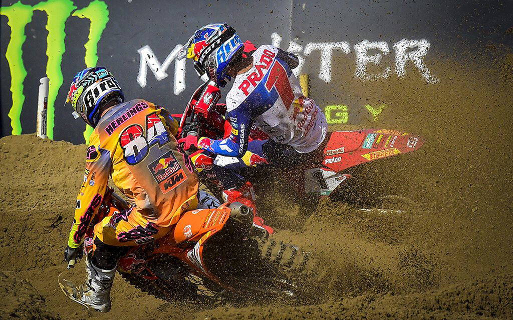 Herlings King of The Sand Once Again
