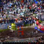 DOUBLE DUTCH DELIGHT FOR HERLINGS & DE WOLF