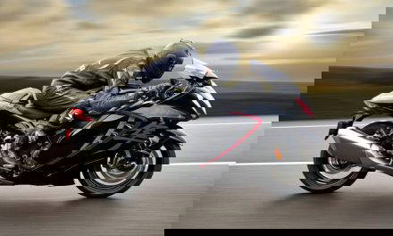 Suzuki Hayabusa 2026 Update