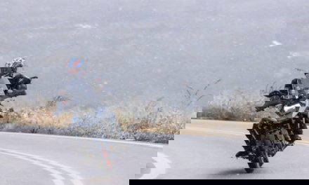 Free Heated Grips from Suzuki