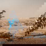 Ténérés Triumph Once Again