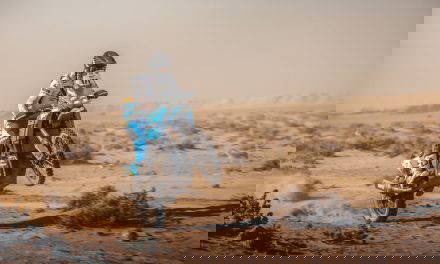 Ténérés Triumph Once Again