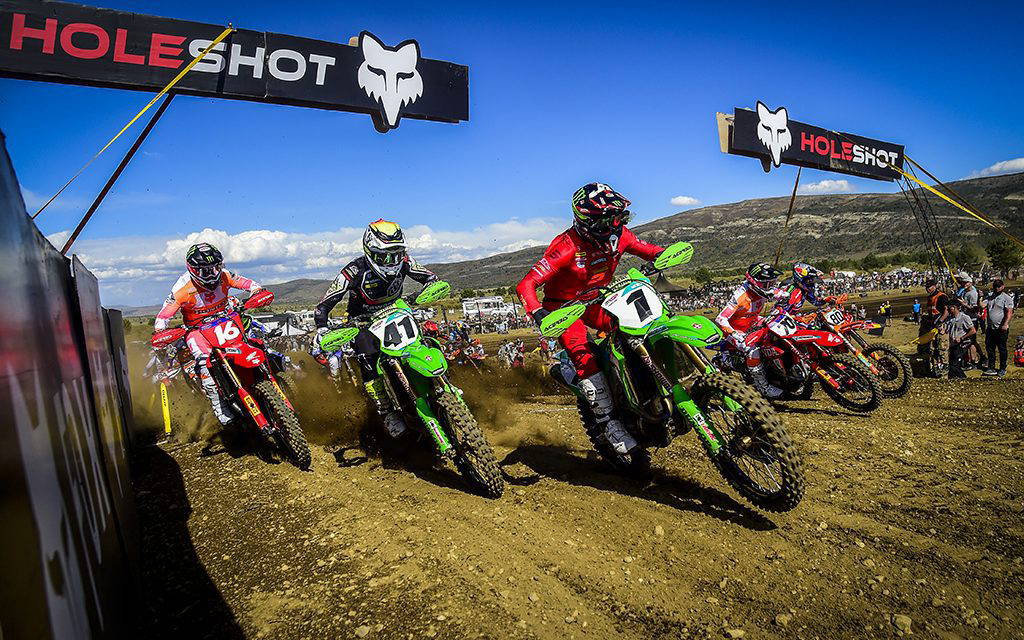 MXGP of Argentina Stunner