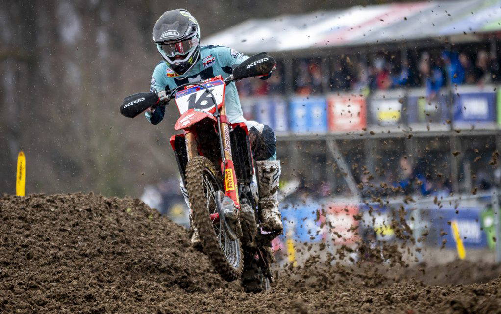 VIALLE & LÄNGENFELDER Back on Top