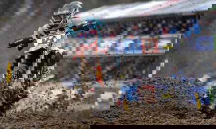 VIALLE & LÄNGENFELDER Back on Top