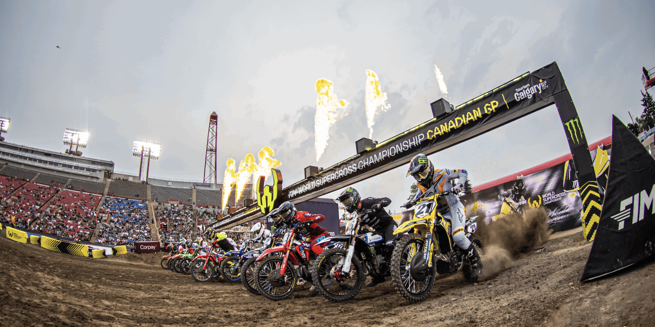 WEBB & ANSTIE Leading The Charge