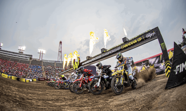 WEBB & ANSTIE Leading The Charge
